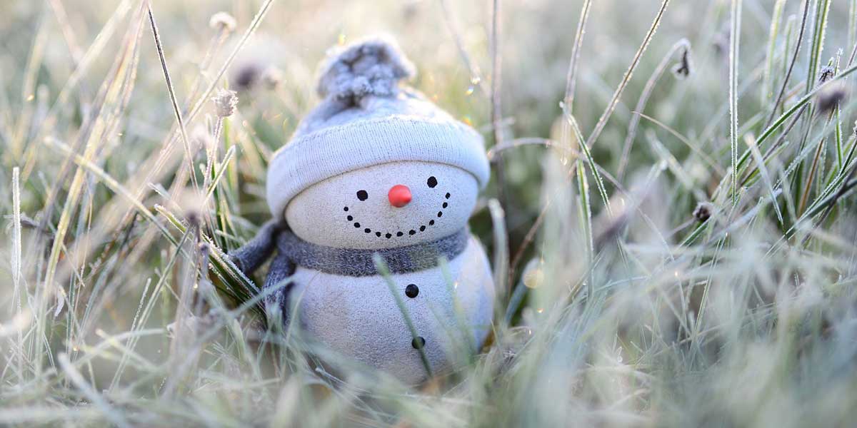 Weihnachtsfeier am 14. Dezember 2025 um 15.00 Uhr im Gemeinschaftshaus des KGV Schloßhof e.V.